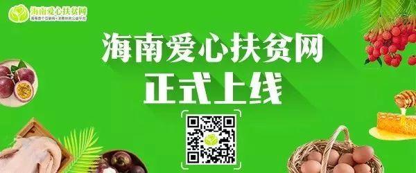 一分院在2022年省直机关纪检监察工作会议作经验交流发言-4.jpg