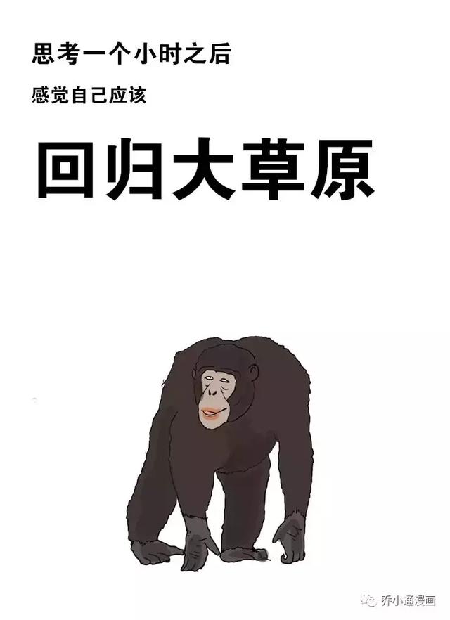 都是写材料毁了我（乔小通漫画）-2.jpg