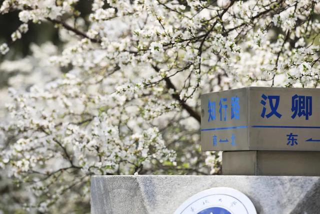 回首萧瑟处，风雨总归晴 ——高考语文备考经验分享-4.jpg